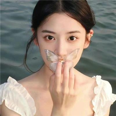 隋唐英雄传